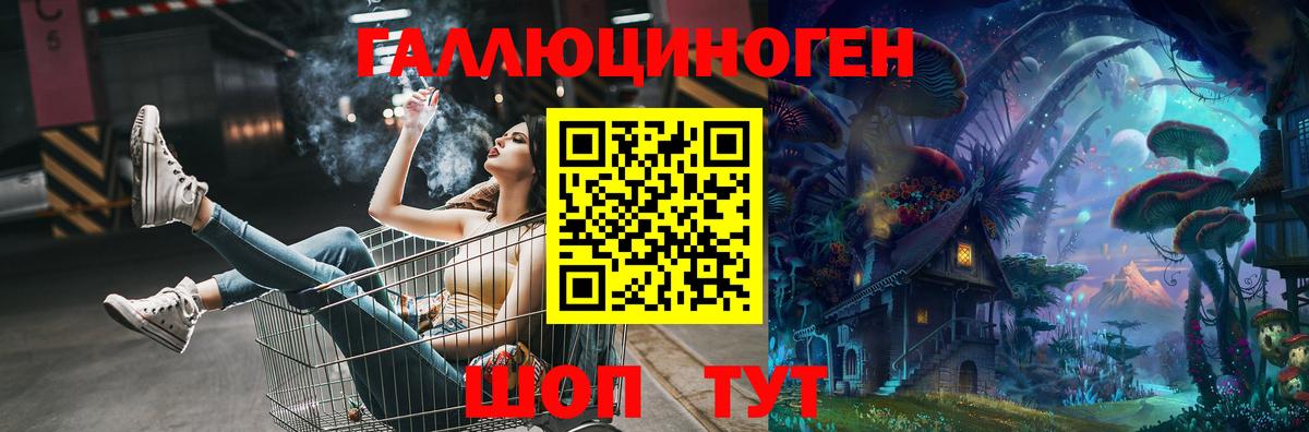 Псилоцибиновые грибы мицелий Георгиевск